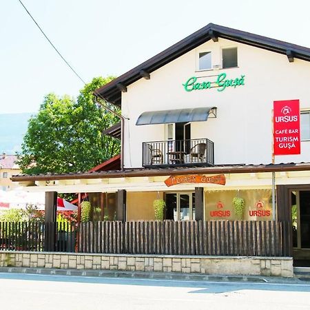 Casa Gusa Borşa Exteriér fotografie